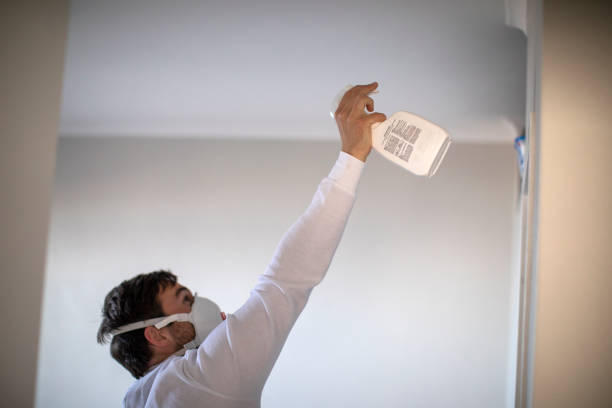 Best Mold Damage Repair  in Little Cypress, TX