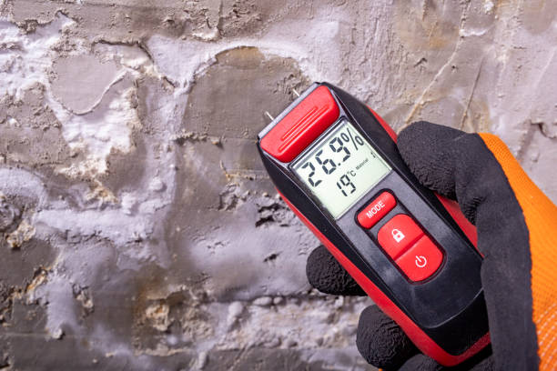 Attic Mold Removal in Little Cypress, TX